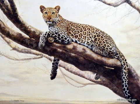 Charles Frace African Leopard Painting 