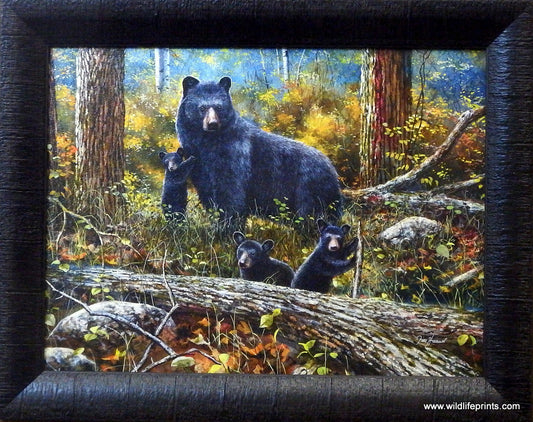19"x16" Open Edition