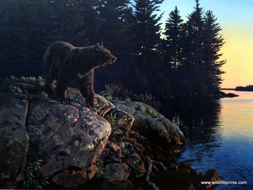 Al Agnew Evening Calm - 24"x18" Signed/Numbered Bear Art Print