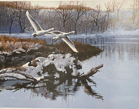 Al Stelton Late Arrival Swan S/N Art Print DU 24 x 18 w/Full White Border