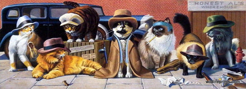 Bryan Moon Humorous Cat picture dressed as gangsters