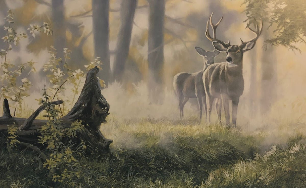 Andrew Kiss Alert Deer Buck Art Print  12 x 7.75