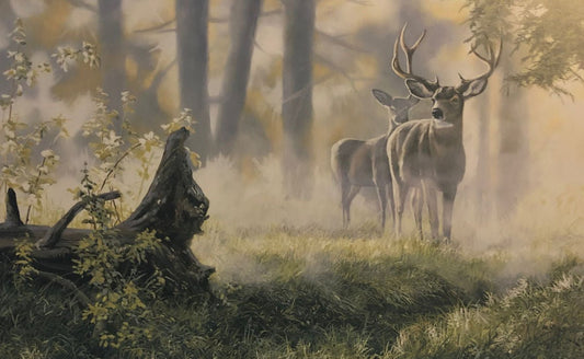 Andrew Kiss Alert Deer Buck Art Print  12 x 7.75