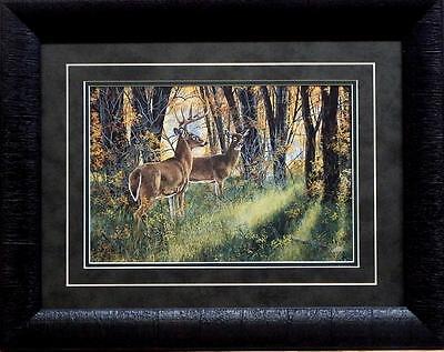 Andrew Kiss Undercover-Framed