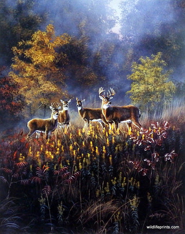 Rick Kelley Autumn Buck