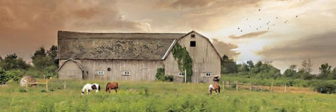 Deiter, Sunset Grazing Farm Barn cow Art Print 36 x 12