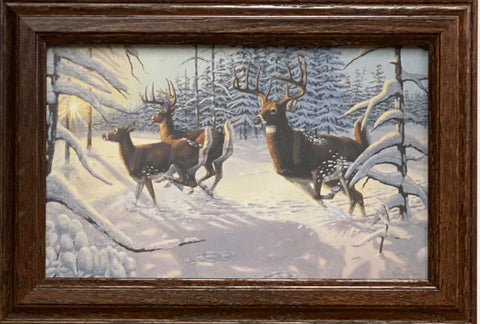 Gene Stewart Winter Glory Decorator Deer Print-Framed 14.5 x 10