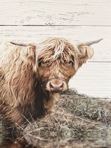 Sopie Cow Farm Art Print-18 x 24