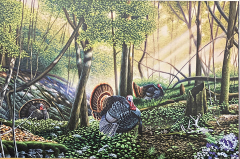 Mike Flentje Trophy Country Wild Turkey Art Print- 18 x 12