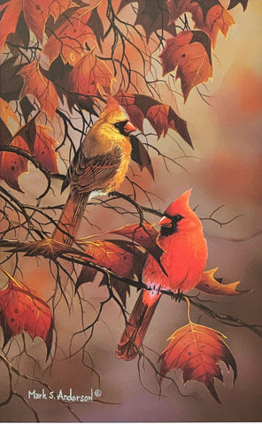 Mark Anderson Autumn Pair Cardinal Fall Art Print 10 x 16