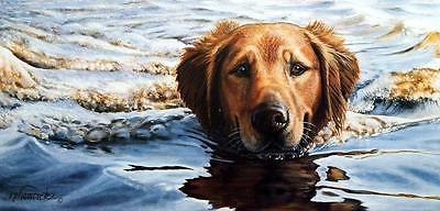 Steve Hamrick Birds Eye View II S/N CE Edition Hunting Dog Print 23" x 11.5"