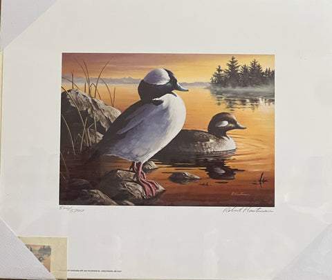 Robert Hautman 1988 MN Duck Stamp Print with Stamp