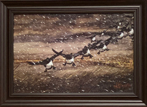Les Kouba Rough Weather Bill Duck Print-Framed 14 x 10