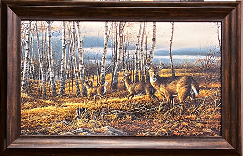Jim Hansel The Birch Line Canvas Deer Buck Art Print