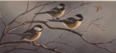 James Meger Songbird Open Edition Art Print Three's a Crowd - Black-Capped Chickadees (17x7.5)