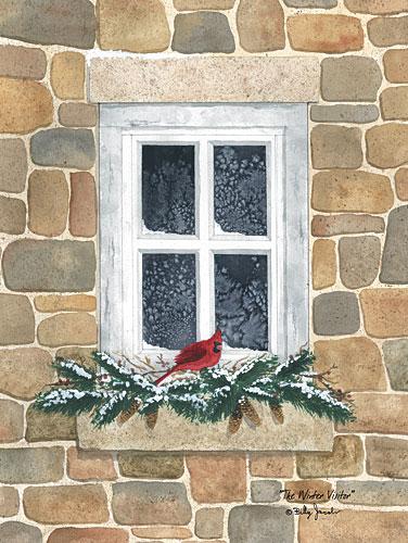 Billy Jacobs Winter Visitors Cardinal Art Print
