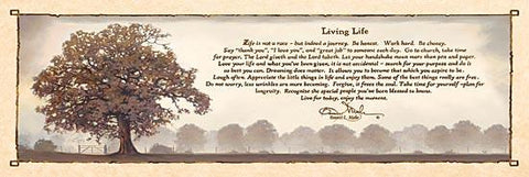 Bonnie Mohr Living Life inspirational  Art Print 36 x 12