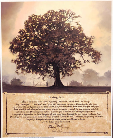 Bonnie Mohr Living Life Inspirational Art Print