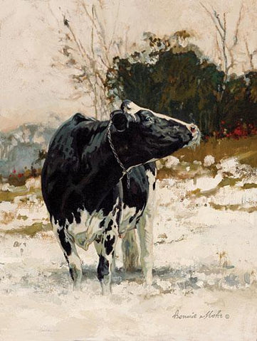 Bonnie Mohr Snowbell Cow Art Print 12 x 16-FREE SHIPPING