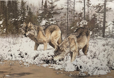 Brian Jarvi Risky Crossing S/N Art Print (30x20)