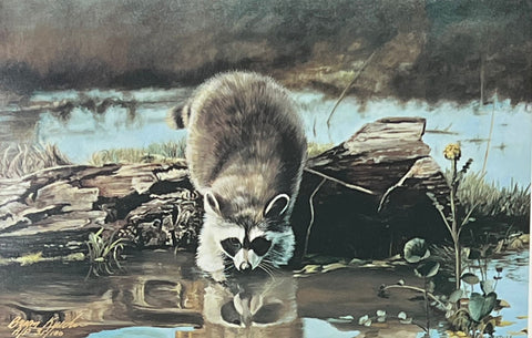 Brian Kuether Looking Good Raccoon S/N Art Print 12 x 7.75