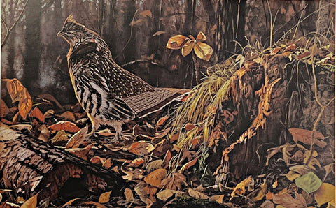 Bruce Miller Autumn Magic S/N Grouse Art Print 23 x 15