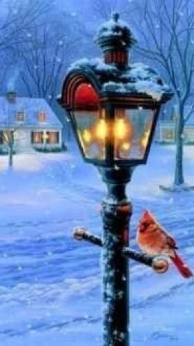 Darrell Bush Warmth Of Winter II