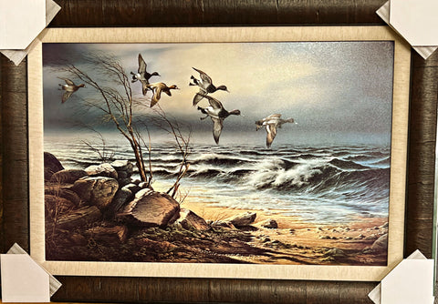 Redlin, Bluebill Point Du. Ducks Print Framed Size 30 x 21,5