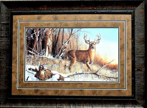 Jim Hansel Resting Place Deer Art Print-Framed 27.5 x 20.5