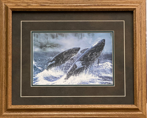 Ray Whitson Whales Art Print-Framed (Oak) 21 x 17