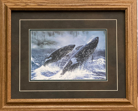 Ray Whitson Whales Art Print-Framed (Oak) 21 x 17