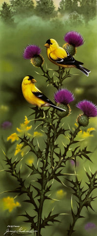 Jerry Gadamus Limited Edition Yellow Finch Art Print A Pinch of Gold (10x24)