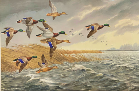 Maynard Reece Windy Day Mallards Duck Waterfowl S/N Art Print 27 x 18