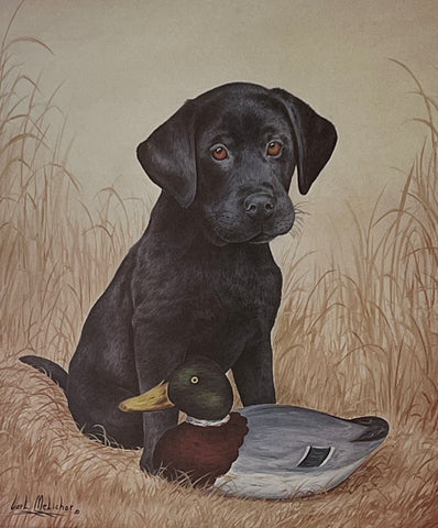 Carl Melichar Black Lab puppy with Decoy S/N Art Print 12 x 14