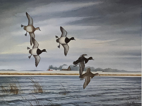 Carl Melichar Ringbills on the Back Lake S/N Duck Art Print-Image Size 15.5 x 11.5