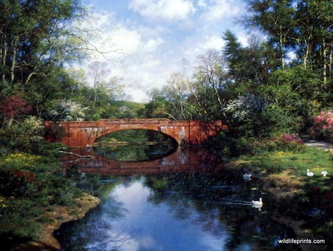 Larry Dyke Carolina Spring