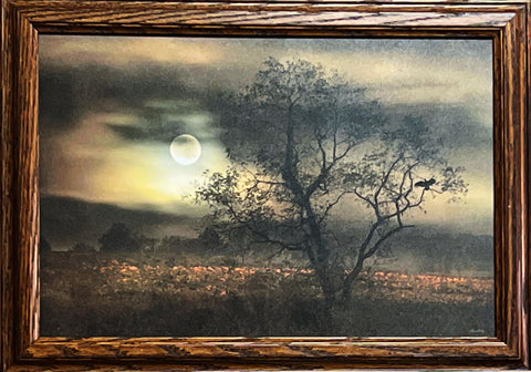 Lori Deiter When Pumpkins Glow by Moonlight Art Print-Framed 20.5 x 14.5