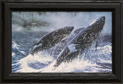Ray Whitson Just For the Joy of it Orca-Framed 14.5 x 10