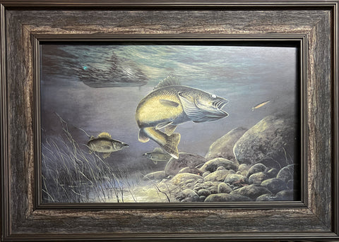 Jim Hansel Taking the Bait fishing Walleye Art Print-Framed 27.5 x 19