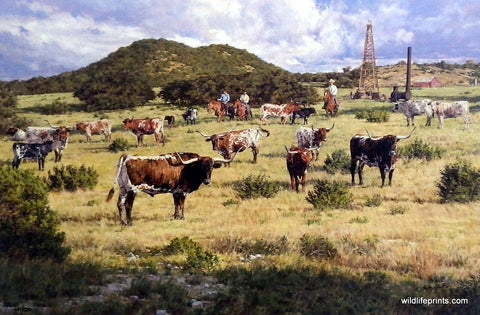 Bradley Schmehl painting Texas longhorn cattle and oil derricks