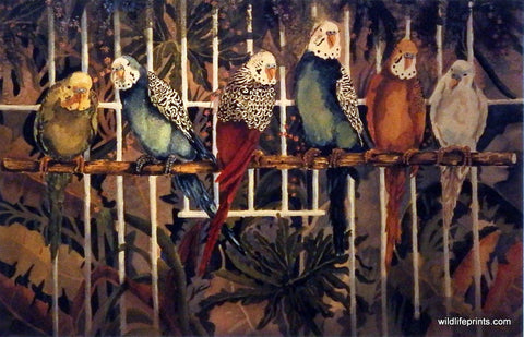 Lee Jackson Parakeet Bird Print Chorus Line