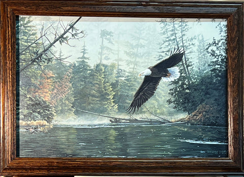 Clair Out of the mist Eagle Art Print-Framed 20.5 x 14.5