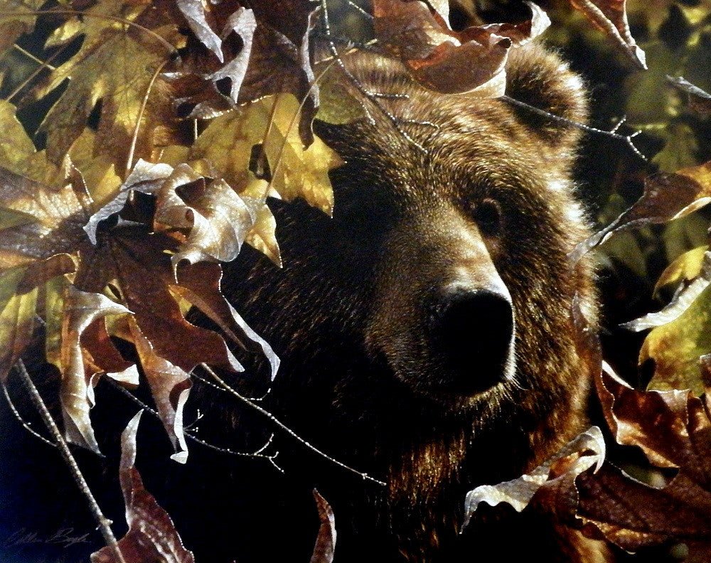 Collin Bogle Legend of the Falls - 28" x 22"