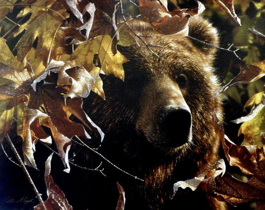 Collin Bogle Legend of the Falls - 28" x 22"