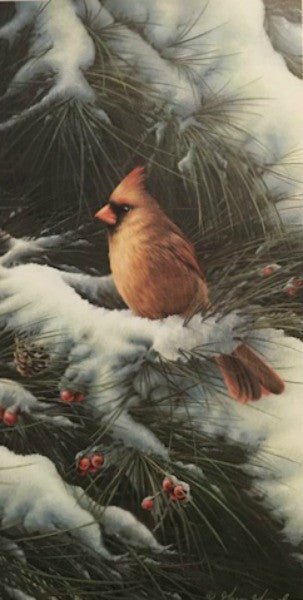 Copy of Greg Giordano Snowy Refuge II Art Print