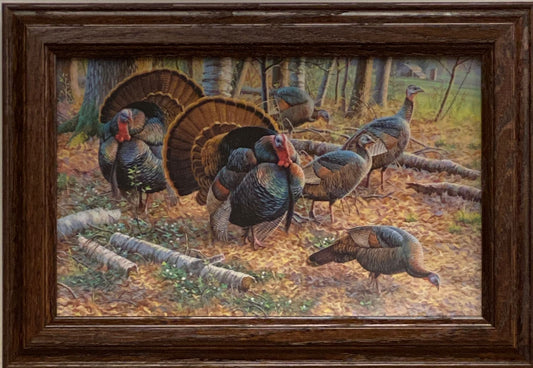 Cynthie Fisher Spring Strut Turkey Art Print-Framed Decorator 14.5 x 10.5