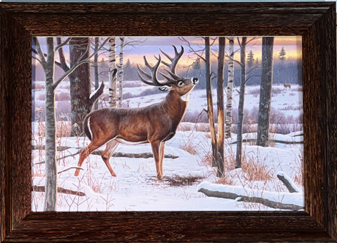 Cynthie Fisher The Jordan Buck Decorator art Print Framed 14.5 x 10.5