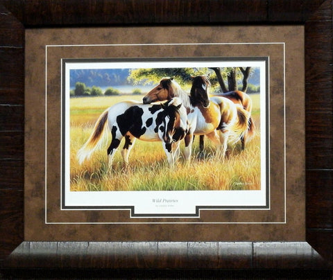Cynthie Fisher Wild Prairies Horse Framed  Print