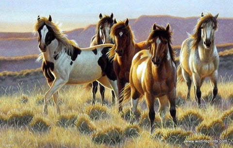 Cynthie Fisher Young Bloods - 23"x14" Open Edition