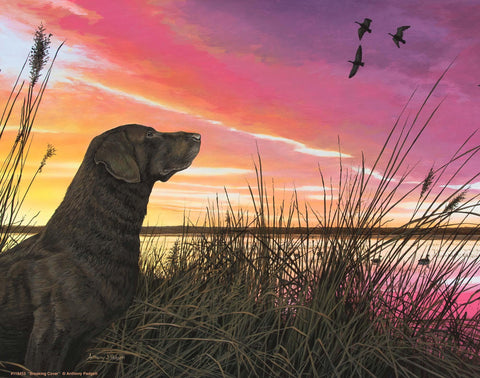 Breaking Cover – Chocolate Lab Art Prints  BY ANTHONY J. PADGETT